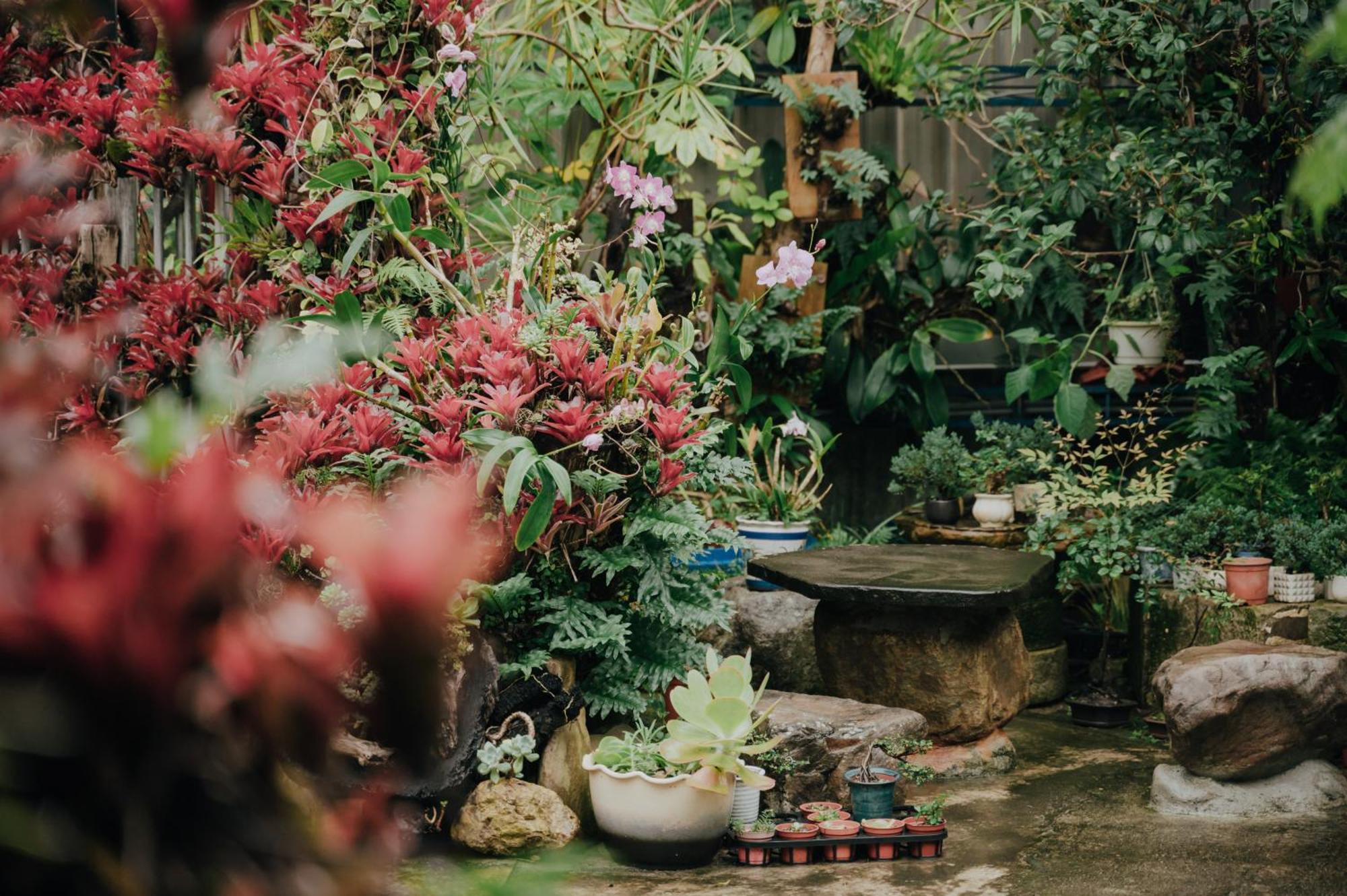蘊慢築 茶花藝主題民宿 Yun Man Zhu Homestay Gongguan Buitenkant foto